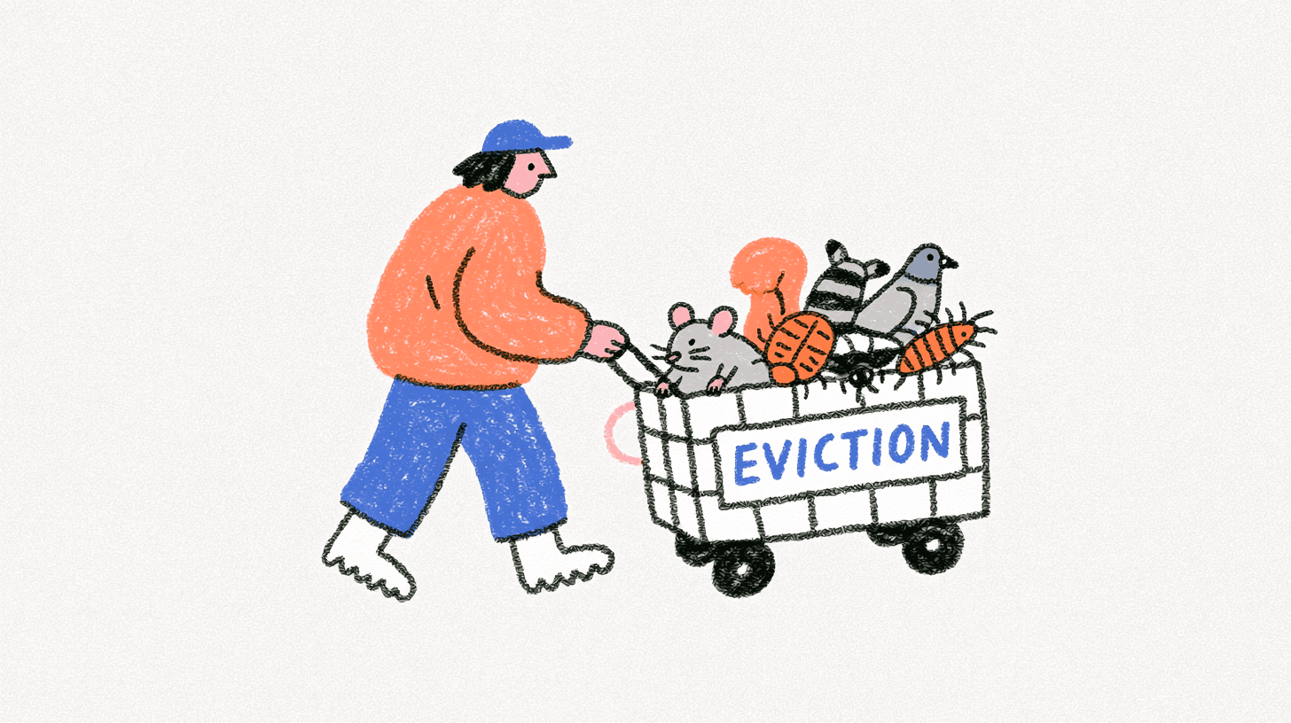 Pencil illustration of a technician calmly escorting unwanted animals outside